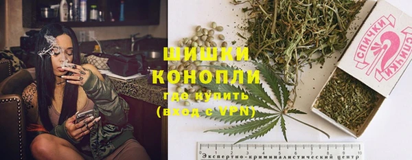 прущие крисы Арсеньев